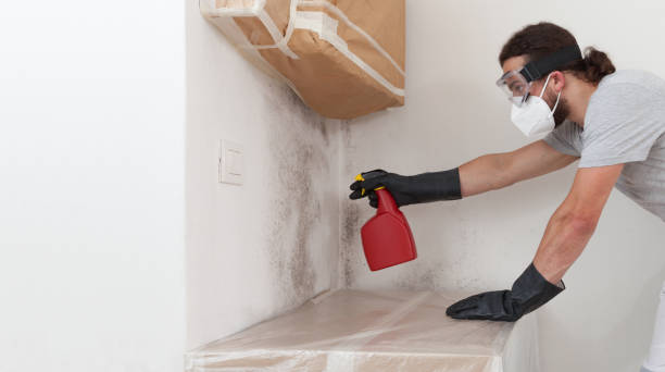 Professional Mold Removal technician working in Mountainside, NJ